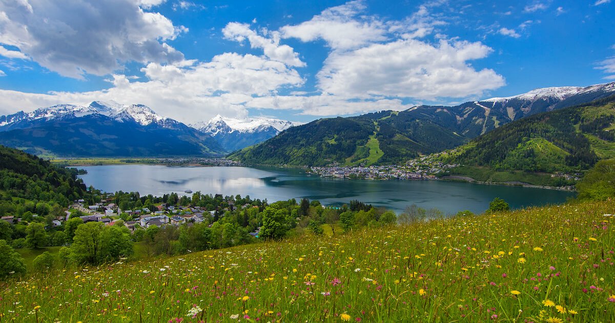 Eine Blumenwiese mit dem Klammsee im Hintergrund