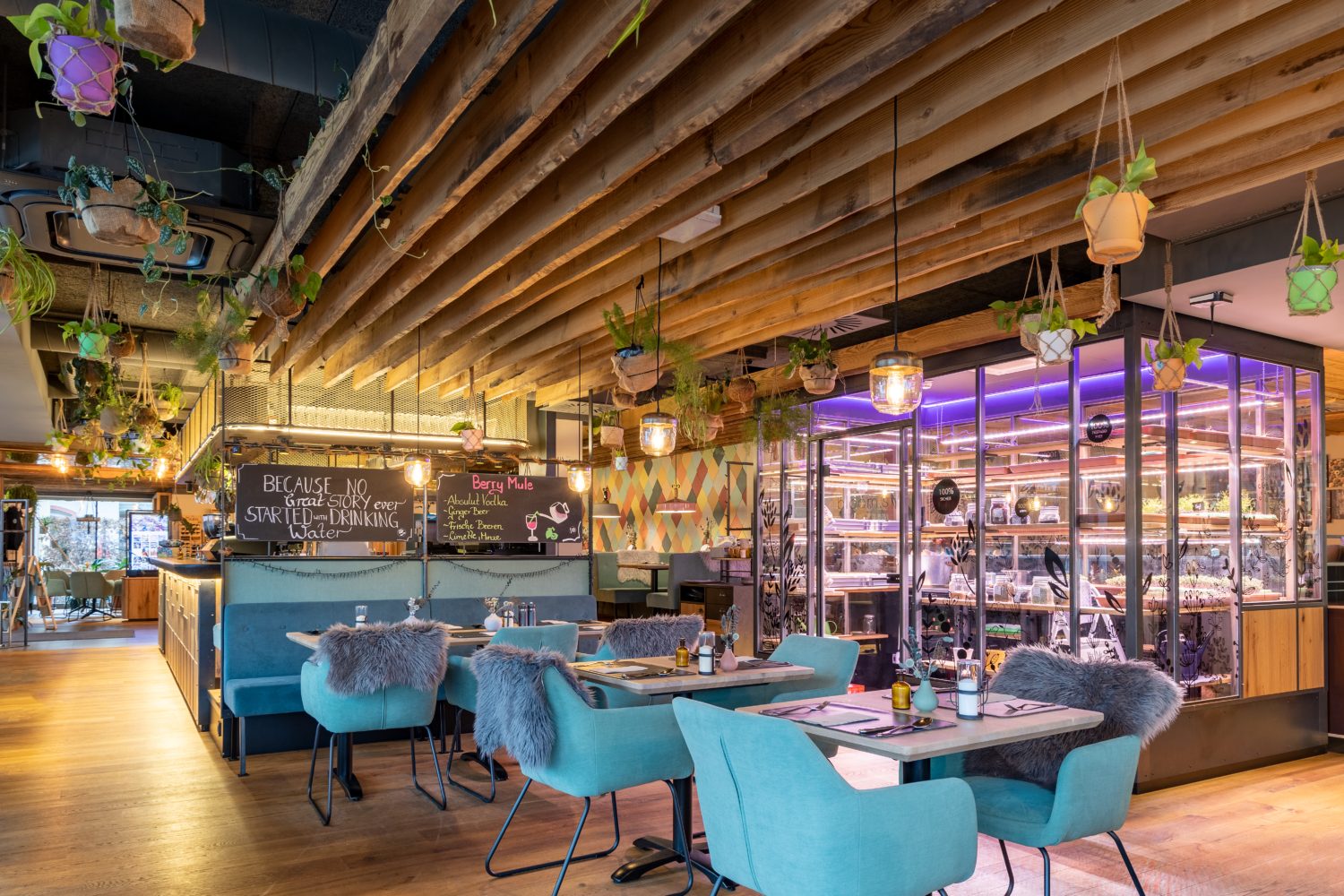 Gemütlich eingerichtetes Restaurant mit vielen Hängepflanzen.